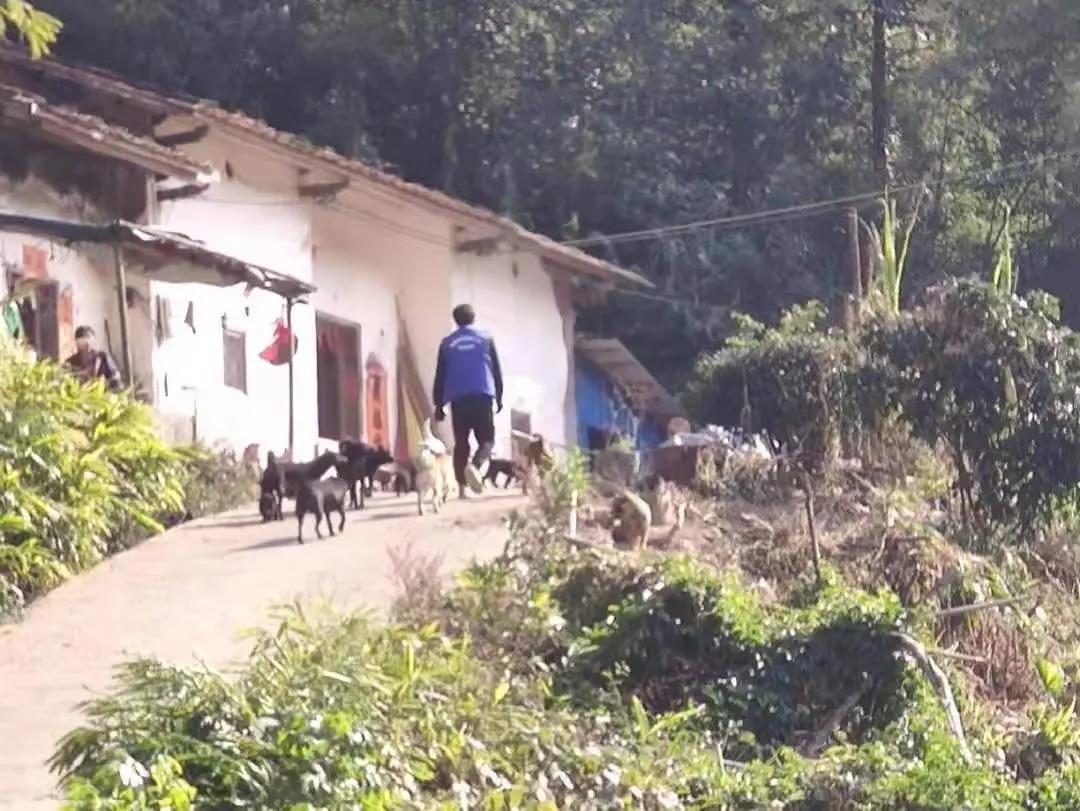 阳春房地一体项目纪实丨无悔青春多砥砺，，，，，，最是奋斗动人心