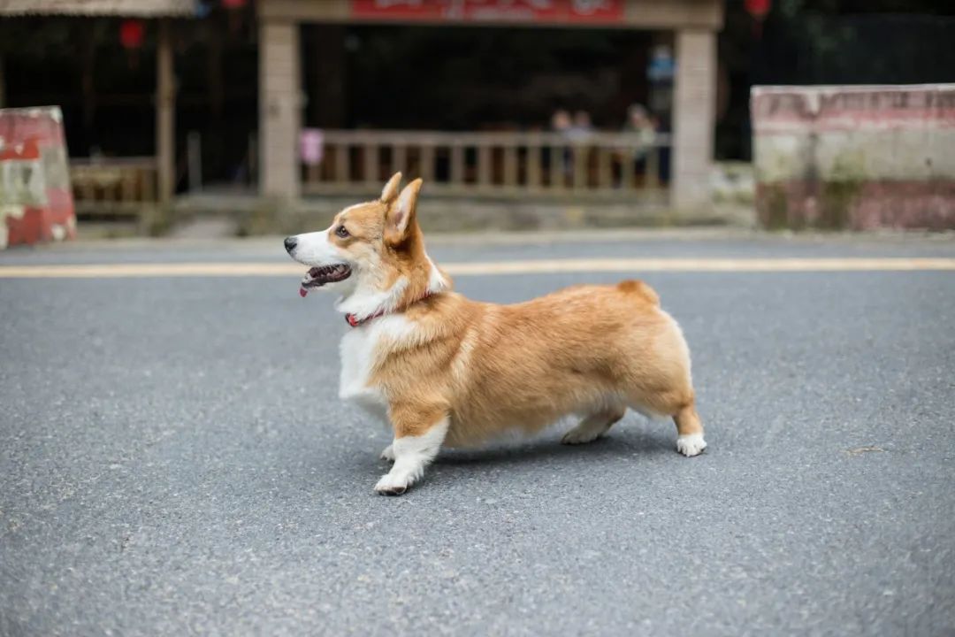 再见，，，，，，，，我的老朋友