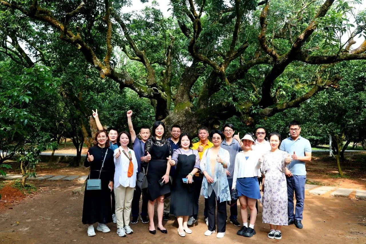 抖圈集团作为省国土空间生态修复协会轮值会长带队调研粤西全域土地综合整治工作