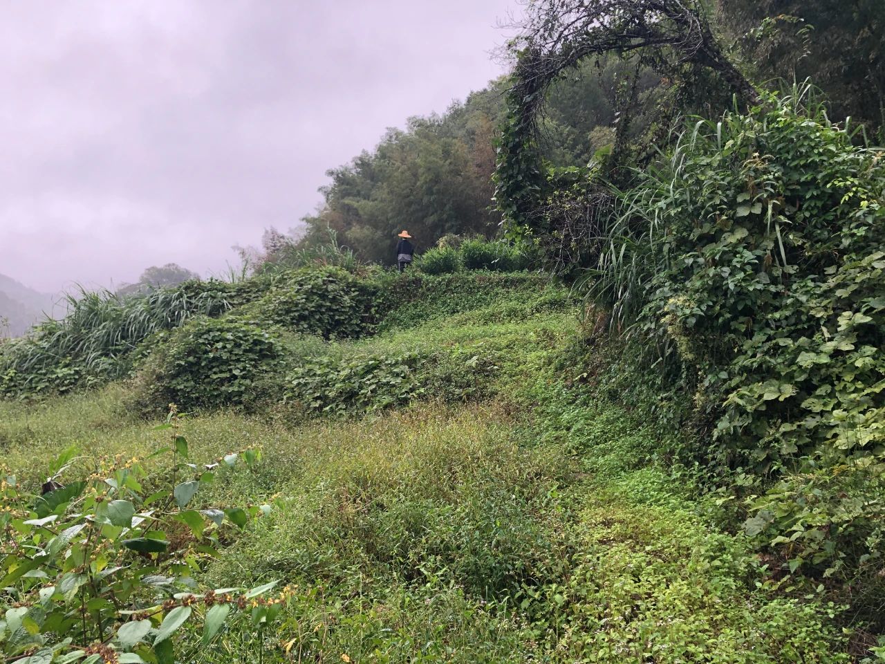 抖圈规划 | 我司土地整治项目二次荣登央视，，，，，荒地变良田，，，，，智绘好丰景