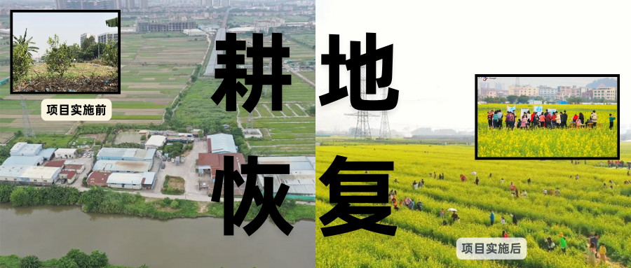 耕地；；；；；；；；び刖梅⒄构踩凇甘泻窠终蛩谏缜读继锵钅扛鼗指从氤窍缛诤系拇葱率导